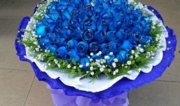 爆料蓝色妖姬视频下载安装,视频下载安装攻略全解析