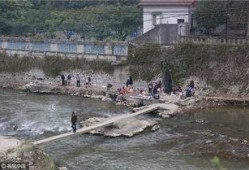 重庆温泉爆料案件最新,揭开背后惊人真相，多角度剖析事件始末