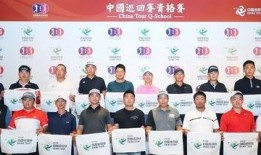 巡茶最新爆料新闻报道,最新爆料事件深度解析