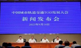 河南都市爆料鲁山新闻最新消息,最新进展及影响揭秘