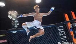 吃瓜娱乐拳击视频下载,揭秘吃瓜群众热捧的拳击视频下载热潮