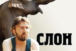 大象电影在线观看,探索动物世界的奇幻之旅