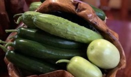 西华网红吃瓜,揭秘网络热点背后的故事