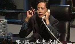 王志文哥哥爆料视频播放,揭秘娱乐圈不为人知的一面