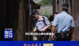 阳江今日头条最近爆料,最新爆料揭露惊人内幕！