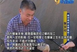 新瓜最新爆料黑料河传姚,新瓜揭露惊人内幕
