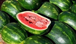 大瓜吃瓜素材视频大全免费观看,大瓜吃瓜素材视频大全，带你领略娱乐盛宴