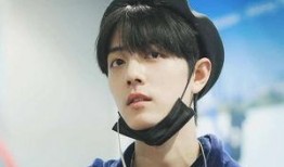 王一博和肖战最新爆料,揭秘娱乐圈背后的秘密与真相