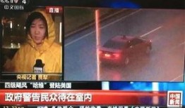 美国德州的中国人爆料视频,揭秘当地生活现状与挑战