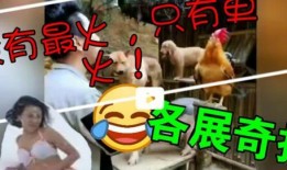 土豆bug爆料砸东西视频,揭秘游戏内惊人漏洞