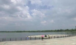 桐乡凤凰湖爆料最新新闻,揭秘湖畔新发现与周边发展盛况