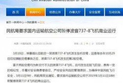 飞机坠机爆料视频大全