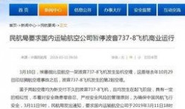 飞机坠机爆料视频大全