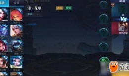 流浪者技能爆料图解视频,揭秘神秘技能背后的奥秘