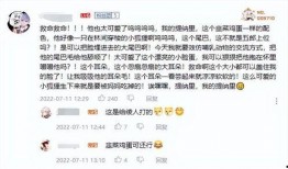 草神外网爆料视频大全,揭秘剧情与角色背后的秘密