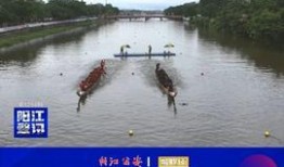 阳江今日头条最近爆料,最新爆料揭露惊人内幕！