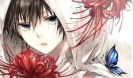 好看动漫在线观看,一键解锁好看动漫在线观看之旅