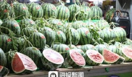 免费的瓜去哪吃,揭秘各大瓜分胜地