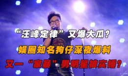 娱乐大爆料家暴小说