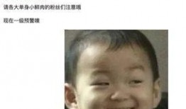 娱乐圈吃瓜真的假的,真假难辨的娱乐新闻揭秘