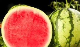 哪里吃瓜免费,揭秘各大平台免费瓜源