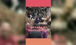 吃瓜星球娱乐,揭秘娱乐圈幕后故事，带你领略明星们的真实生活