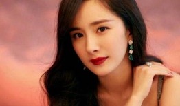 圈内八卦爆料童瑶小说,揭秘娱乐圈背后的爱恨情仇