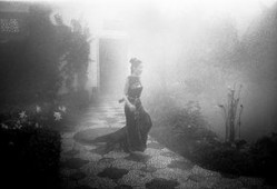 摄影师 在线观看,摄影师在线作品鉴赏之旅