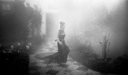 摄影师 在线观看,摄影师在线作品鉴赏之旅