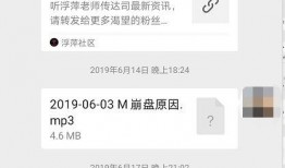 高州爆料自媒体事件最新,真相与争议交织的舆论漩涡