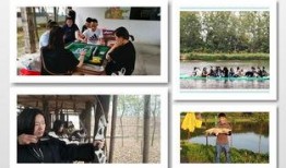 国庆适合去哪儿玩最新爆料,揭秘2023国庆出行攻略