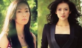 圈内八卦爆料童瑶小说,揭秘娱乐圈背后的爱恨情仇