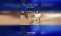 当地人的爆料视频大全,爆料视频大全背后的真实故事