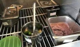 鱼蛋后厨爆料视频大全,独家爆料视频大全深度解析