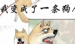 吃瓜吃醋小说全文阅读免费,一场甜蜜的误会之旅