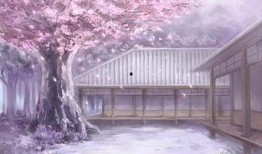 樱花爆料大神视频大全在线观看,精彩瞬间一网打尽