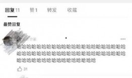 狗仔爆料术语大全视频,揭秘娱乐圈幕后黑幕