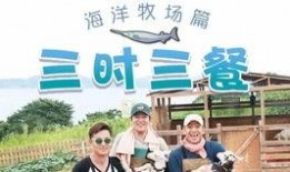 三时三餐在线观看,温馨乡村生活，共享美味时光