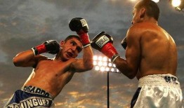 吃瓜娱乐拳击视频下载,揭秘吃瓜群众热捧的拳击视频下载热潮