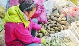 卖土豆视频在线观看,在线观看，尽享美味瞬间