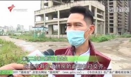 廉江市今日关注爆料方式,今日关注爆料，揭秘城市新鲜事