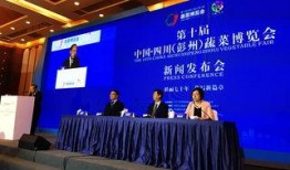 彭州新闻爆料电话,揭秘城市脉搏，倾听民声心声