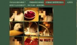 家暴视频爆料者是谁,勇敢揭露黑暗背后的真相