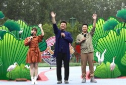 张兰镇最新爆料视频,惊人内幕曝光