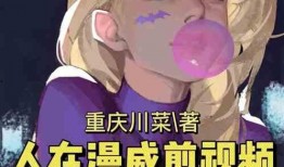 视频爆料小说,小说背后的真实故事