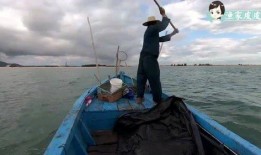 赶海爆料视频,揭秘海洋宝藏的神秘之旅