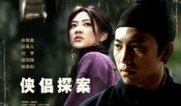 侠侣探案在线观看,携手破案，揭秘迷雾重重