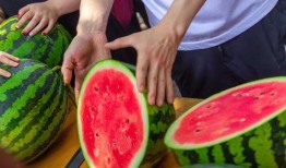 哪里吃瓜免费,揭秘各大平台免费瓜源