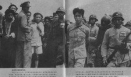 爆料供奉日本战犯的视频,历史真相与民族情感的碰撞