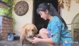 主播爆料山羊生病了吗视频,主播现场直播揭秘真相